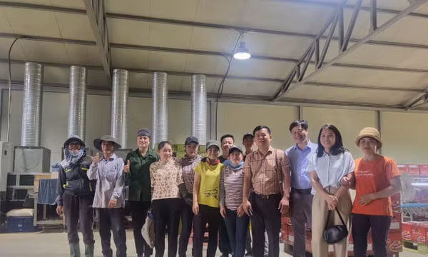 Làm việc thời vụ tại nước ngoài, mở ra cơ hội thoát nghèo​