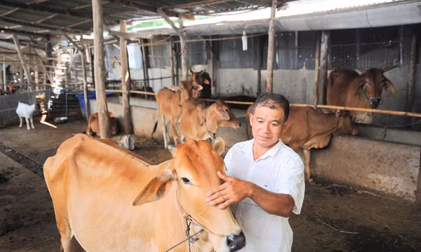 An Giang chăm lo tốt đời sống đồng bào dân tộc thiểu số