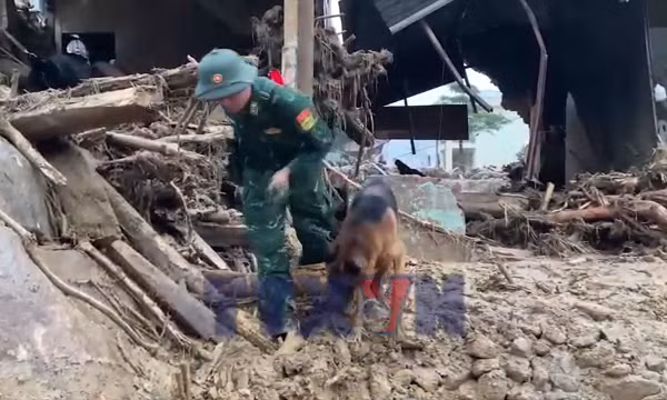 Huy động chó nghiệp vụ tìm kiếm nạn nhân mất tích