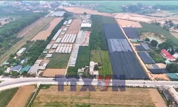 Ứng dụng KHCN trong sản xuất nông nghiệp tại Điện Biên