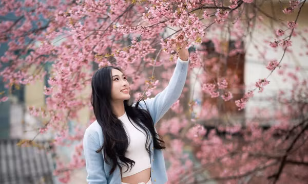 Lễ hội hoa mai anh đào xã Lũng Cú lần thứ I - Điểm hẹn muôn sắc hoa