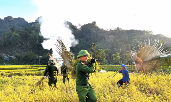 Công an cơ sở giúp nhân dân thu hoạch lúa mùa và nông sản