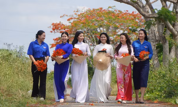 Đỏ rực con đường hoa phượng bên bờ kênh xáng Lấp Vò