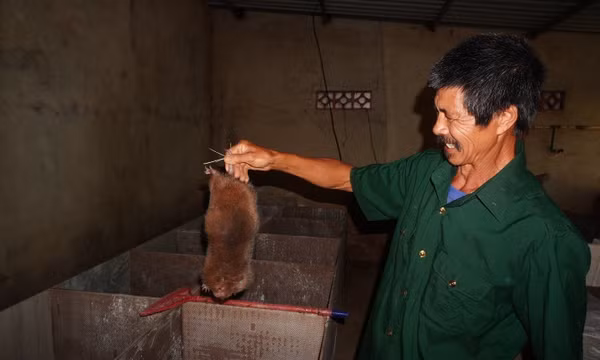 Dân vận khéo thì việc gì cũng thành công