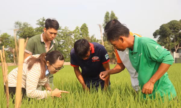 Gỡ 'nút thắt' nhân sự hệ thống khuyến nông cộng đồng