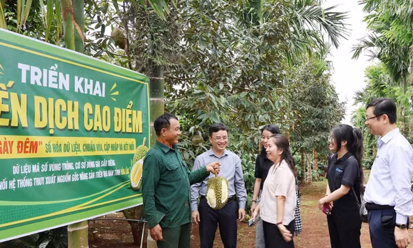 Đắk Lắk ra mắt Bản đồ số nông sản và phát động chiến dịch '30 ngày đêm' chuẩn hóa dữ liệu sầu riêng