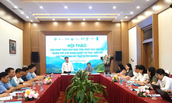 Khoa học đồng hành cùng sinh kế vùng chè di sản