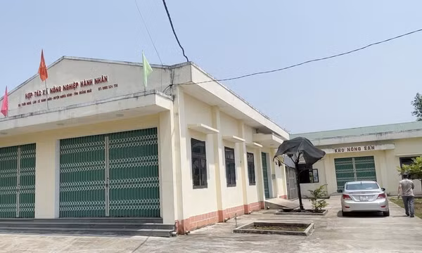 Sau hơn hơn 1 năm, quyết định hỗ trợ hợp tác xã ở Quảng Ngãi vẫn chưa thể triển khai