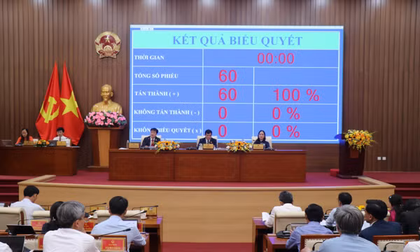 Chuyển gần 83 ha rừng thông ba lá ở Măng Đen làm Khu đô thị số 1