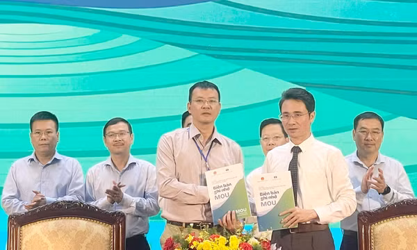Phát triển nông nghiệp hàng hóa, dược liệu theo hướng kinh tế xanh
