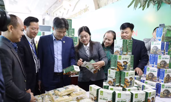 Thái Nguyên tôn vinh giá trị tinh hoa đặc sản vùng miền