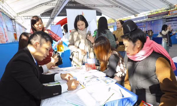 Ngày hội việc làm tỉnh Điện Biên: Cơ hội cho hơn 17.000 lao động