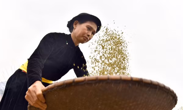 Lễ hội cốm Thuận Hòa, nơi hòa mình vào văn hóa Tày