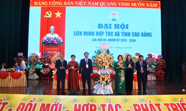 Xây dựng Hợp tác xã mạnh, hoạt động hiệu quả hướng tới xuất khẩu