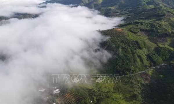 Phát triển du lịch từ mùa trái ngọt và văn hóa Raglai