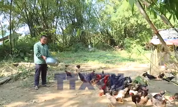 Mô hình kinh tế hiệu quả cho vùng dân tộc thiểu số