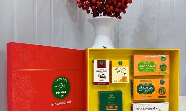 Khai thác dược liệu bản địa, hướng tới ngành kinh tế xanh bền vững