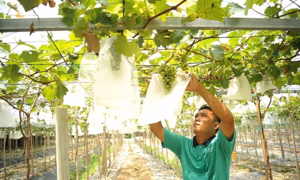 Phát huy hiệu quả chính sách dân tộc, nâng cao đời sống đồng bào Khmer