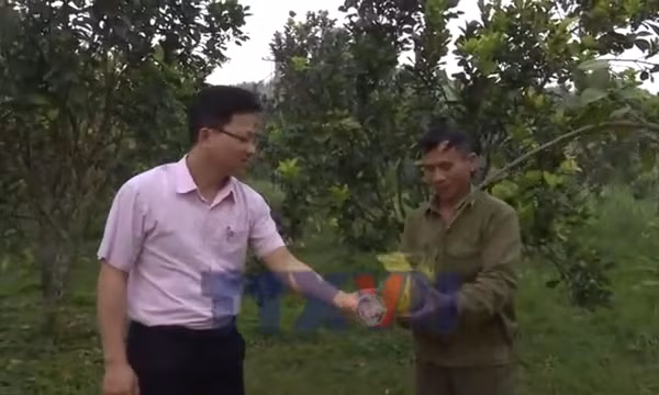 Vốn vay sản xuất giúp người dân vùng cao Thanh Hóa thoát nghèo