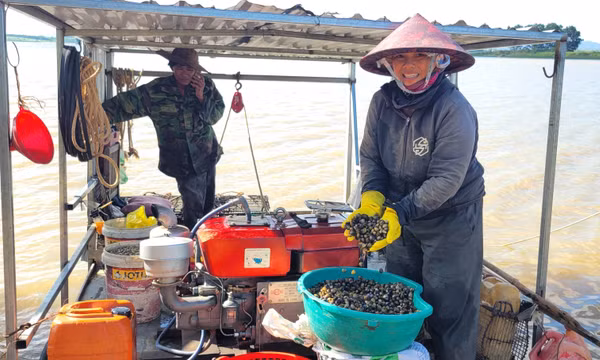 Nghề khai thác hến ở vùng hồ An Khê - Ka Nak