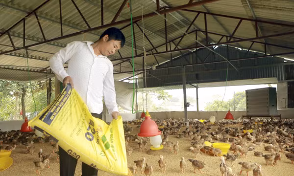 Tạo sinh kế bền vững, nâng cao thu nhập cho đồng bào dân tộc thiểu số