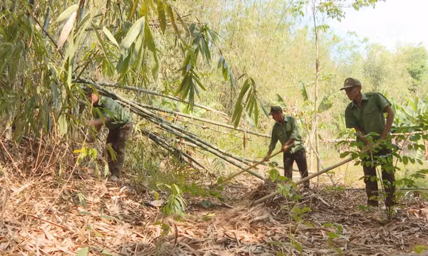 'Căng mình' phòng chống cháy rừng cao điểm mùa khô