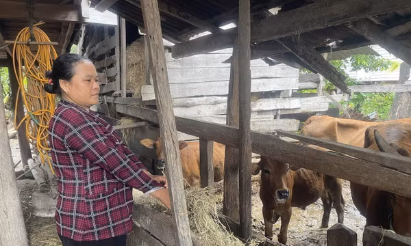 Hỗ trợ sinh kế giúp người dân thoát nghèo bền vững ​
