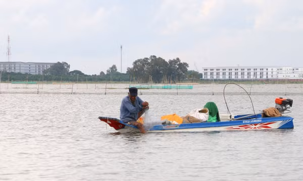 Mưu sinh trên đồng ngập lũ ở biên giới Tây Nam