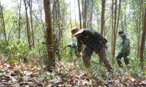 Đắk Lắk siết chặt quản lý bảo vệ rừng trong mùa khô