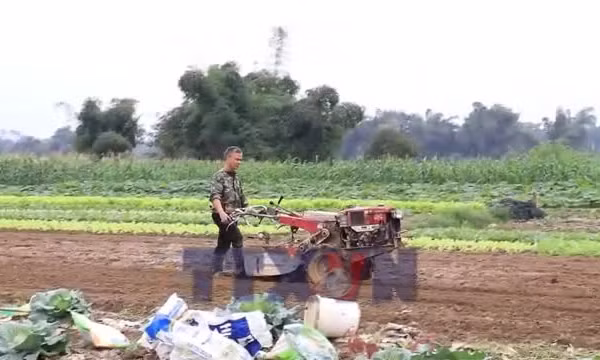 Lào Cai hỗ trợ khôi phục sản xuất nông nghiệp