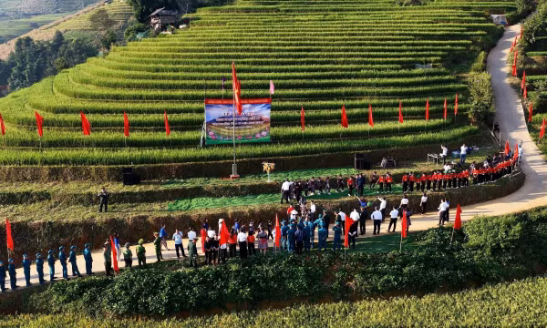 Cờ đỏ sao vàng tung bay trên mùa vàng no ấm