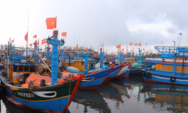 Rà soát phương án ứng phó mưa lũ phù hợp với tình hình cụ thể