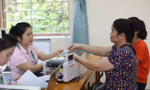 Hơn 2.184 tỷ đồng vốn ưu đãi đồng hành cùng phụ nữ phát triển kinh tế