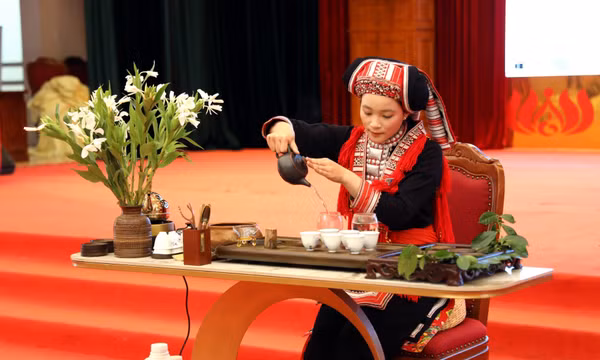 Quảng bá thương hiệu trà Shan tuyết