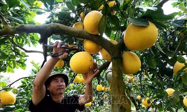 Từ giá trị văn hóa đến sinh kế bền vững cho đồng bào dân tộc thiểu số