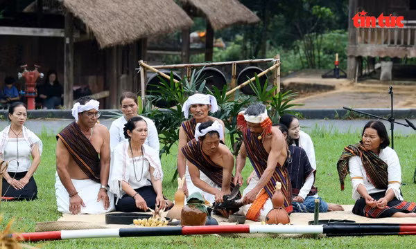 Thanh âm mùa vàng trong Lễ mừng lúa mới của đồng bào Chu Ru