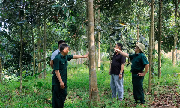 Từ lửa đạn đến thủ lĩnh kinh tế thời bình