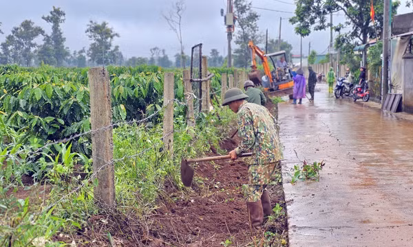 Triển khai chiến dịch cao điểm phòng, chống sốt xuất huyết