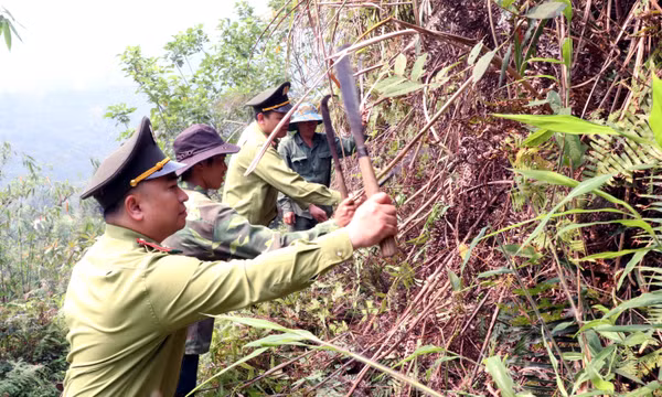 Huy động các lực lượng ứng cứu khi xảy ra tình huống khẩn cấp