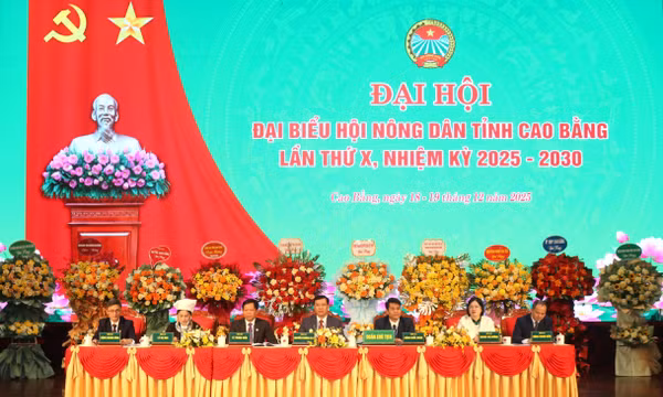 Khơi dậy tinh thần lao động cần cù, năng động, sáng tạo của nông dân vùng cao