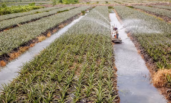 Khơi dậy tinh thần sáng tạo, khát vọng lập nghiệp của thanh niên dân tộc thiểu số