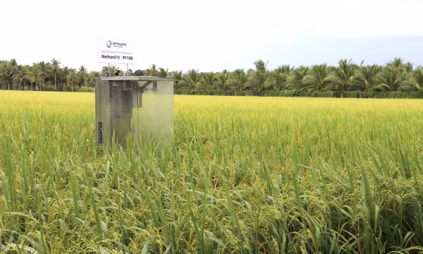 Để khoa học công nghệ tạo sinh kế cho vùng nông thôn, miền núi