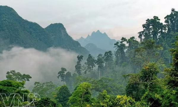 Phát triển Vườn quốc gia Xuân Sơn thành điểm du lịch sinh thái trọng điểm