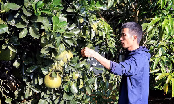 Xã lòng hồ Hòa Bình phấn đấu thành điểm sáng nông thôn mới nâng cao và kiểu mẫu