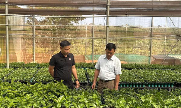 Từ vùng tiêu chết đến thủ phủ nông nghiệp công nghệ cao ở Chư Sê