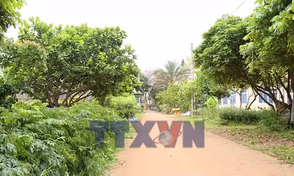 Đảm bảo cây giống, sẵn sàng cho trồng rừng năm 2026