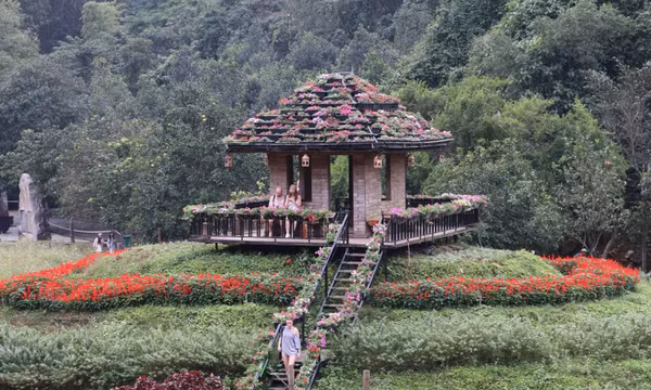 'Đảo hoa' khoe sắc giữa thiên nhiên di sản