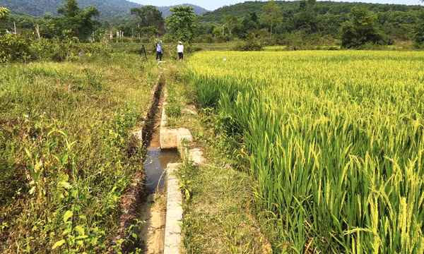 Vùng cao Quảng Trị tập trung chống hạn cứu lúa