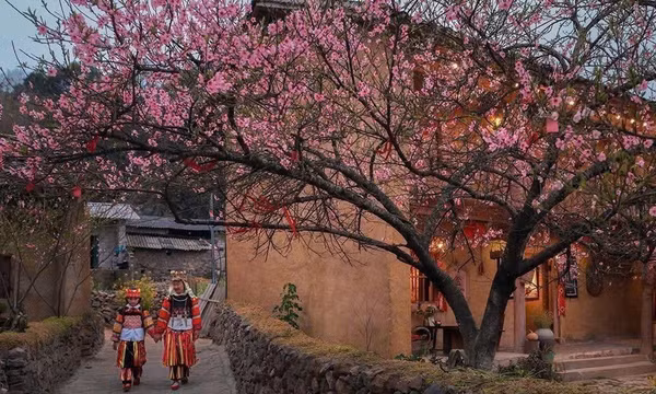 Lũng Cú - điểm hẹn muôn sắc hoa nơi địa đầu Tổ quốc