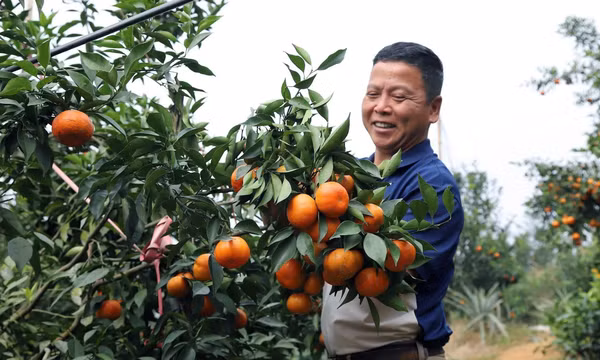 Từ cơ sở vững vàng, đất nước tự tin bước vào kỷ nguyên mới